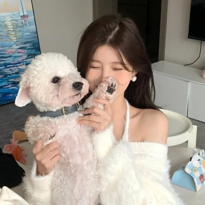初试羽翼 封面